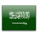 Saudi Arabia jobs